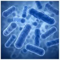 Ingredients of FemiCore and Their Benefits
